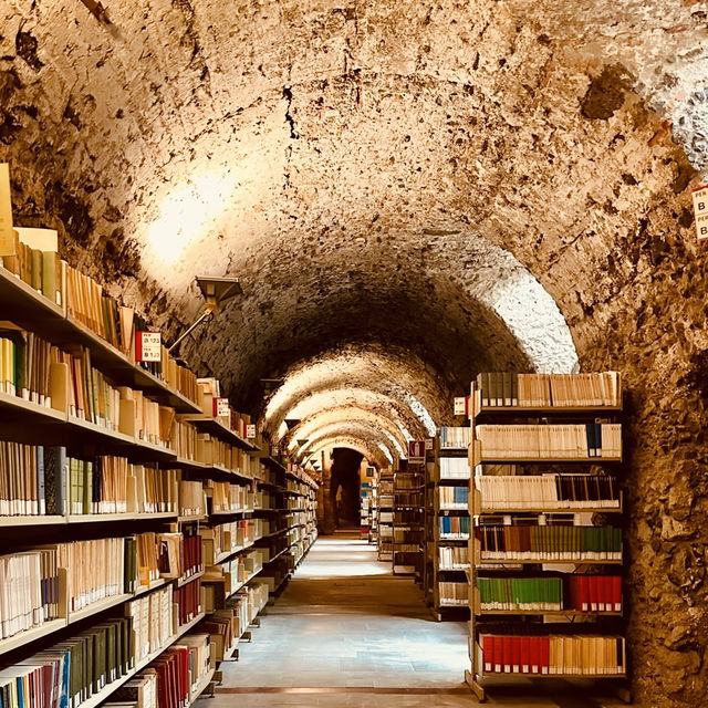 A Solo Traveller’s Retreat: Benedictine Monastery of San Nicolò l’Arena** 🏰