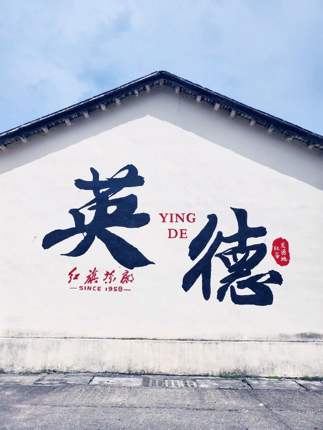 英德紅茶的搖藍