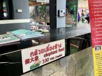 Chang Puak Elephant Camp