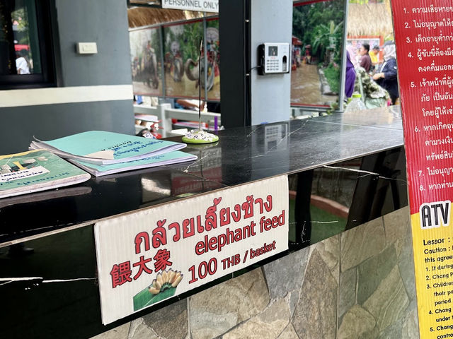 Chang Puak Elephant Camp