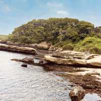 Coastal Serenity & Hidden History: A Solo Explorer’s Day in Yokosuka’s Best Parks"** 🌊🌳