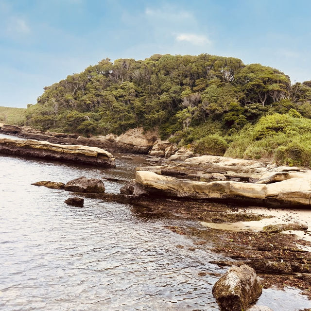 Coastal Serenity & Hidden History: A Solo Explorer’s Day in Yokosuka’s Best Parks"** 🌊🌳