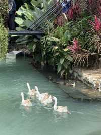 The Lake Cafe @ The Farm – Balik Pulau’s Idyllic Lakefront Escape  