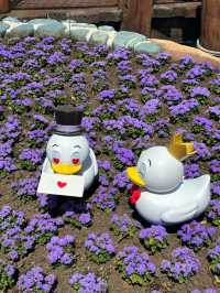Disney Meets Japan: A Perfect Harmony of Magic