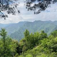 司馬庫斯-巨木群登山步道