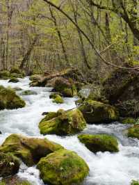 Spent a day at Oirase Gorge - Aomori