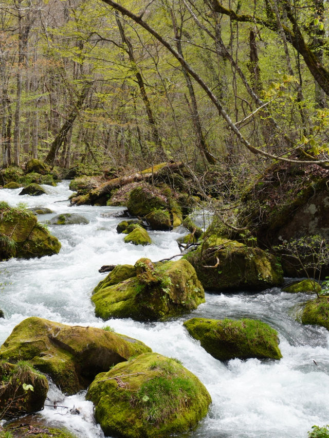 Spent a day at Oirase Gorge - Aomori