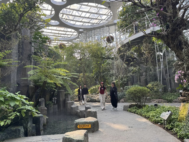 Shanghai Botanical Garden: A Green Oasis for Stunning Photos! 📸🌿