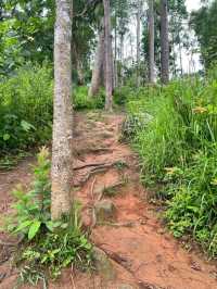  อุทยานแห่งชาติดอยขุนตาล 