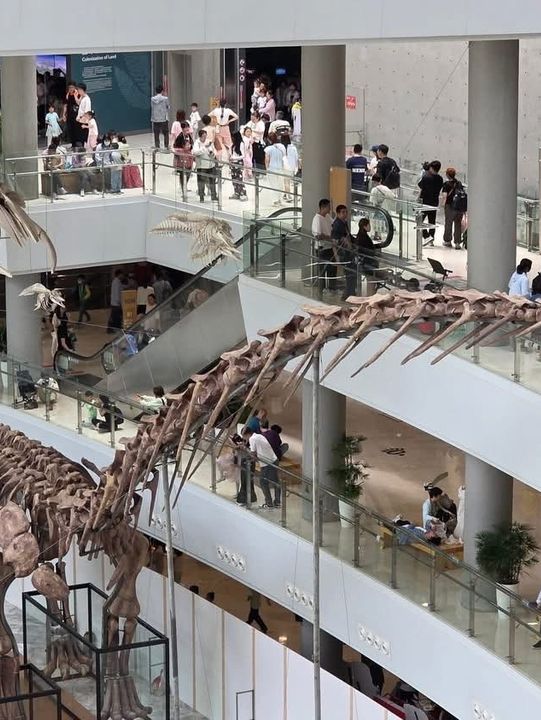 Shanghai Natural History Museum