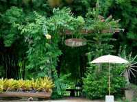 คาเฟ่วิวเขาอุทัยธานี 