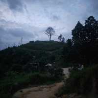 Off the beaten track in KL - art, hiking, make your own pewter dish