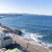 Donghae’s Hidden Gems: A Seaside & Street Art Adventure"** 🌊🎨