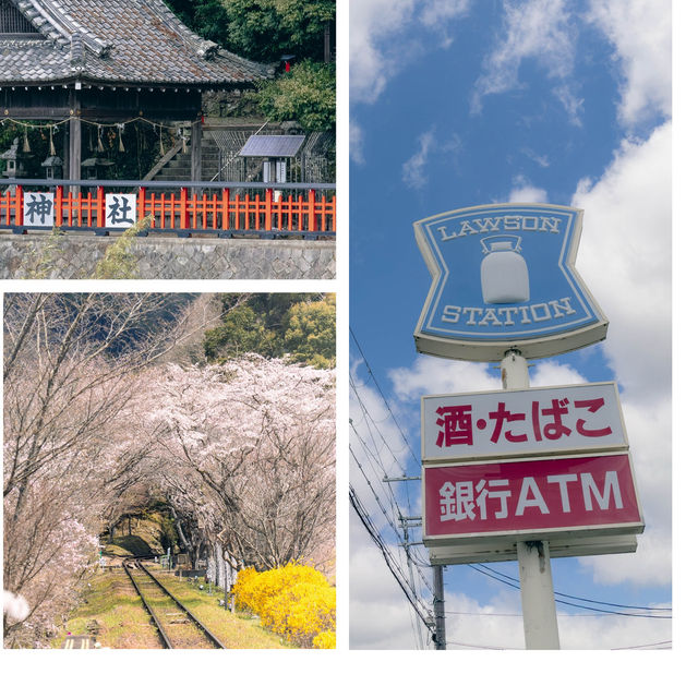 📍 京都・嵐山 —— 一個融合自然、歷史與文化的夢幻之地🌿
