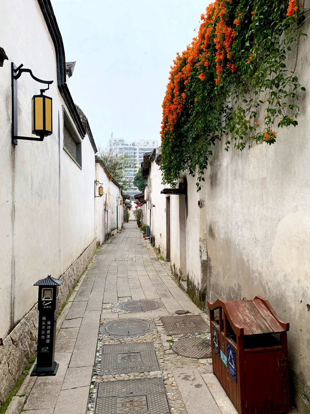 Three Lanes and Seven Alleys 🏘️ 
