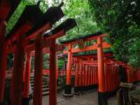 【伏見稲荷大社】千本鳥居の幻想世界へ⛩️願いを込めて歩く、朱のトンネル