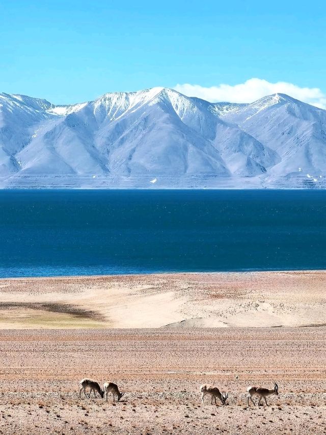 Chillin’ by Zhari Namco Lake