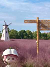 Shanghai in Pink: Autumn Fairyland at Gucun Park 🌸🎡