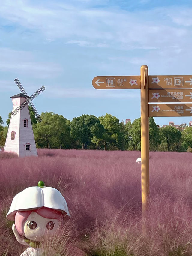 Shanghai in Pink: Autumn Fairyland at Gucun Park 🌸🎡