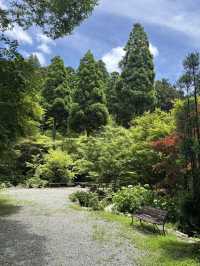 아름다운 장면 하나를 보려고 오는 환경예술의 숲💚🌳