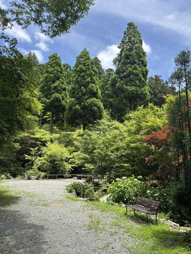 아름다운 장면 하나를 보려고 오는 환경예술의 숲💚🌳