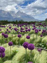 🌄 Lijiang — A Place You’ll Never Regret Visiting