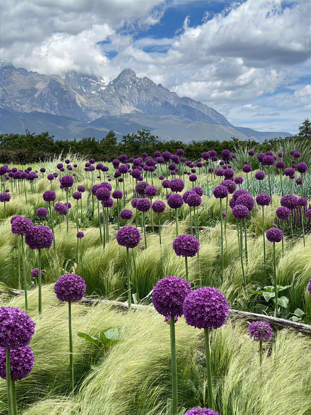 🌄 Lijiang — A Place You’ll Never Regret Visiting
