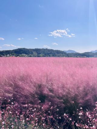 Cheorwon and Pocheon are travel destinations that combine beautiful nature and historical heritage in northern Gyeonggi Province. We introduce a 2-day, 1-night course.