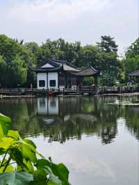 A Vision of Serenity 