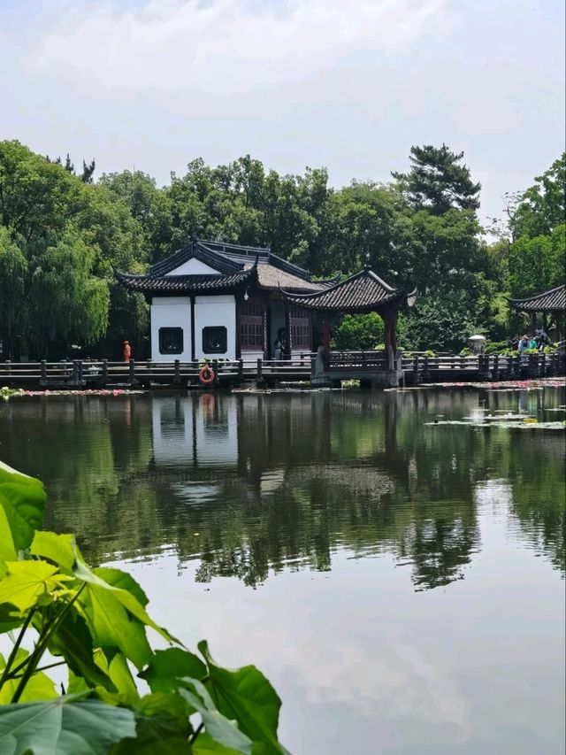 A Vision of Serenity 