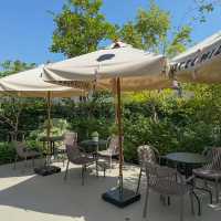 ☁️✨ Bottomless Cafe – พื้นที่สงบกลางกรุง