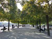 Lake Zurich: A Sparkling Jewel of Urban Serenity