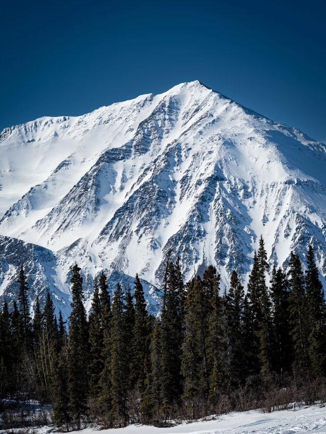 🇨🇦 North of 60° — Facing the Wild Silence of Canada on the Alaska Highway