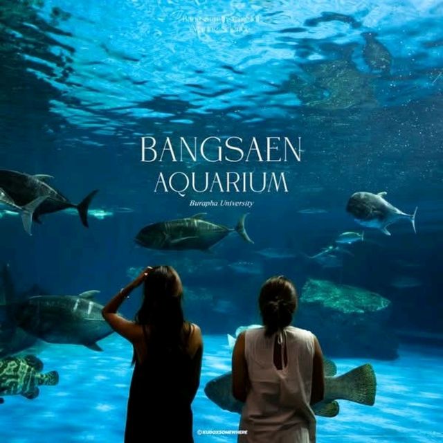 bangsaen Aquarium 