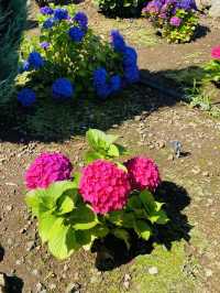 Pet-Friendly Paradise for Flower Lovers