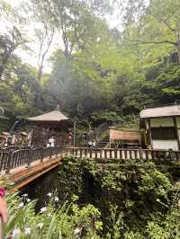 Mount Takao is the perfect half‑day escape: blend nature, culture, and light adventure