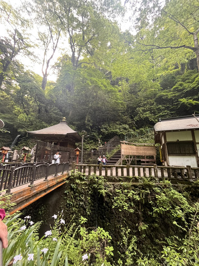 Mount Takao is the perfect half‑day escape: blend nature