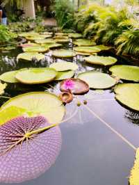 Secret Garden at 1 Utama: A Hidden Floral Paradise