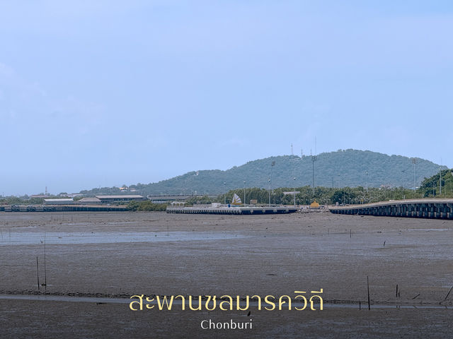 🌉✨ สะพานชลมารควิถี – สะพานคู่ขวัญเมืองชลบุรี ✨🌊