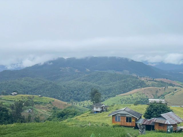 🌾 ป่าบงเปียง – วิวหลักล้านกลางทุ่งนาเขียวขจี 🍃💚 🌾 ป่าบงเปียง – วิวหลักล้านกลางทุ่งนาเขียวขจี 🍃💚