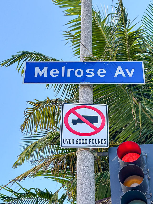 ✨LA 힙한 바이브 최고, 멜로즈 에비뉴✨