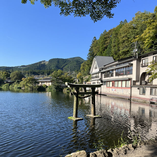 由布院半日遊🇯🇵 由布院半日遊🇯🇵