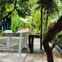 MISA HOUSE