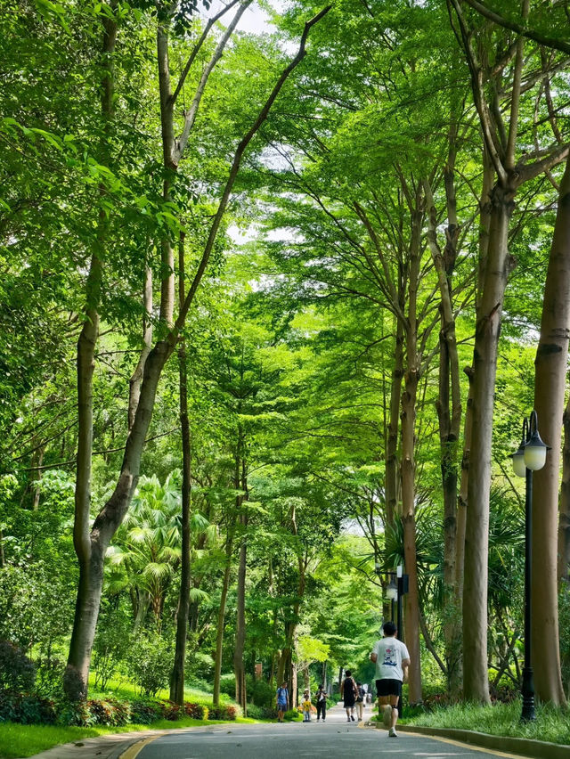 ☀️ A Breezy Green Escape in the City