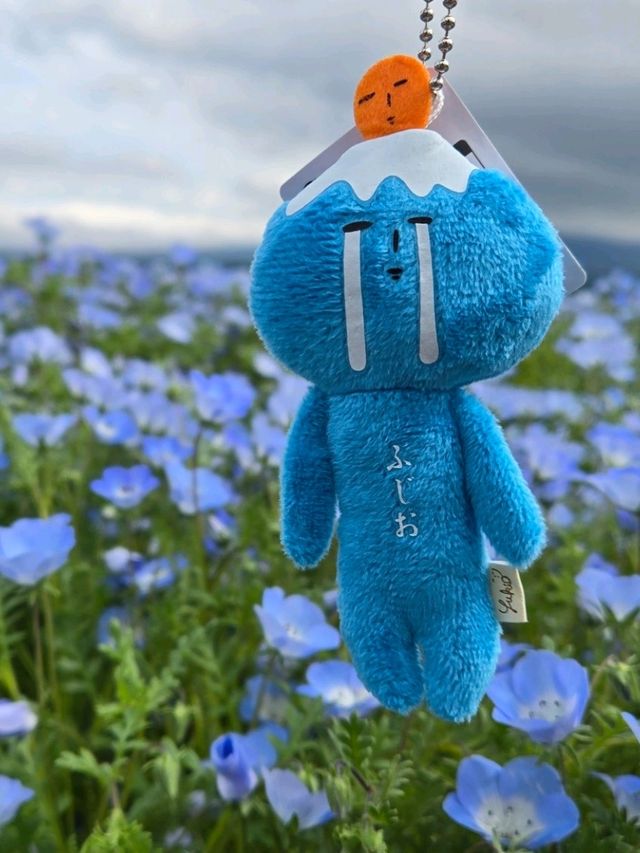 五月的河口湖🏞🏔藏着一片會飛嘅藍💙💙
