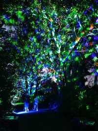 🎆Lightscape Part 1🎆