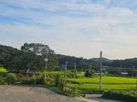용인 히든 명소 동명서헌 북카페 거실