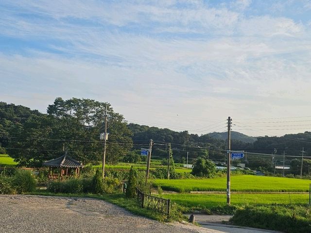 용인 히든 명소 동명서헌 북카페 거실 용인 히든 명소 동명서헌 북카페 거실