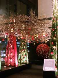 ✨ 丸の内クリスマス記録と2025 予測: 花と光の饗宴からマリオと共に彩る冬へ