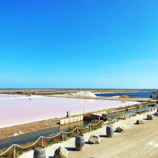 Wandering Through the Unique Beauty of Le Salin de Gruissan